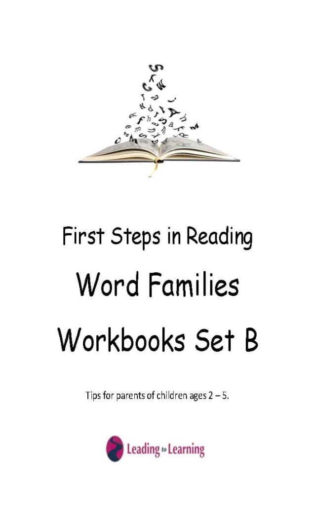 First Steps in Reading Word Families workbook Set B