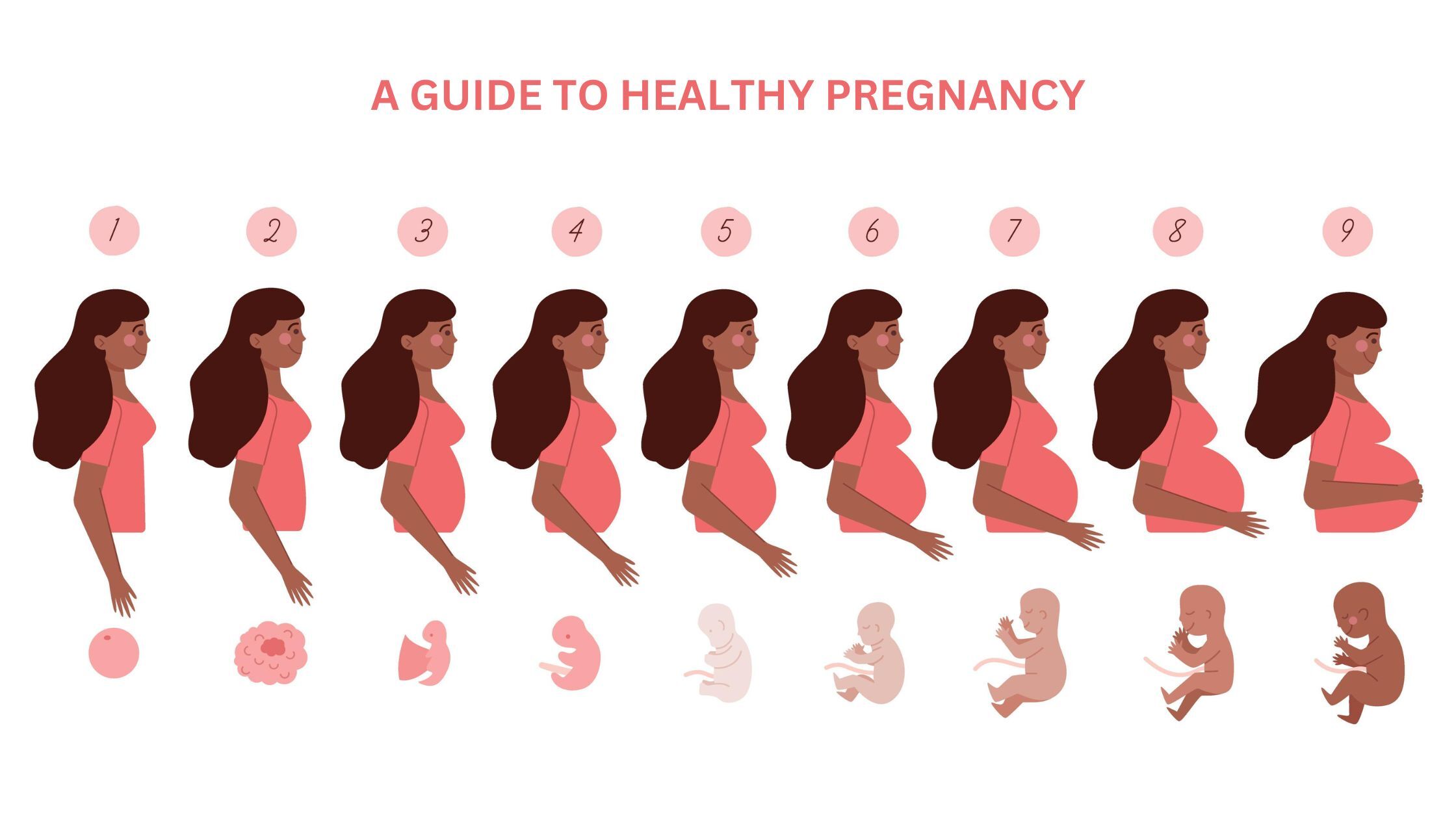 A Guide to Healthy Pregnancy, Week-by-Week: What to Expect